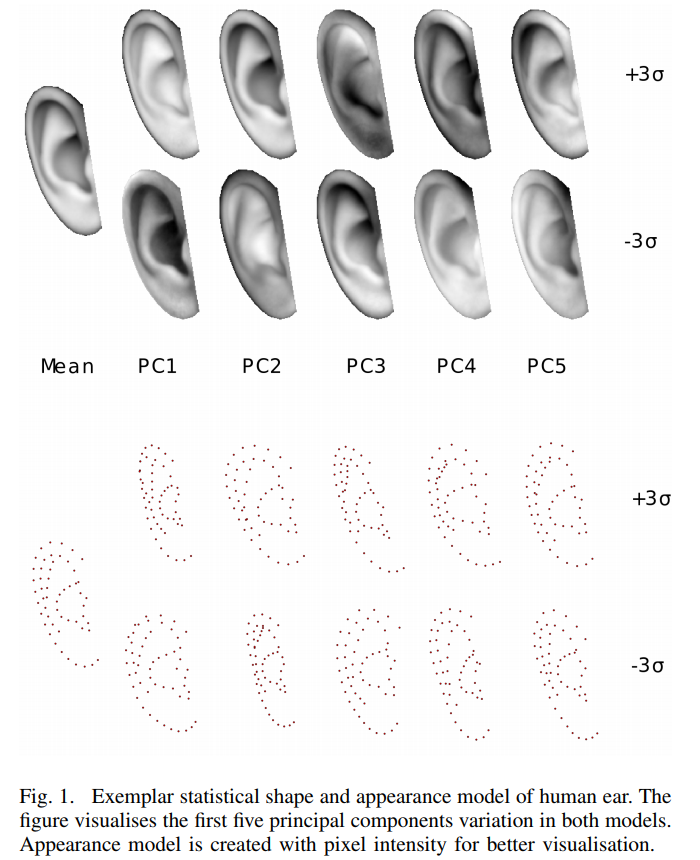 Deformable Ear Models